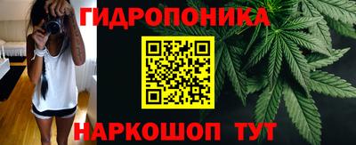 прущие грибы Кумертау
