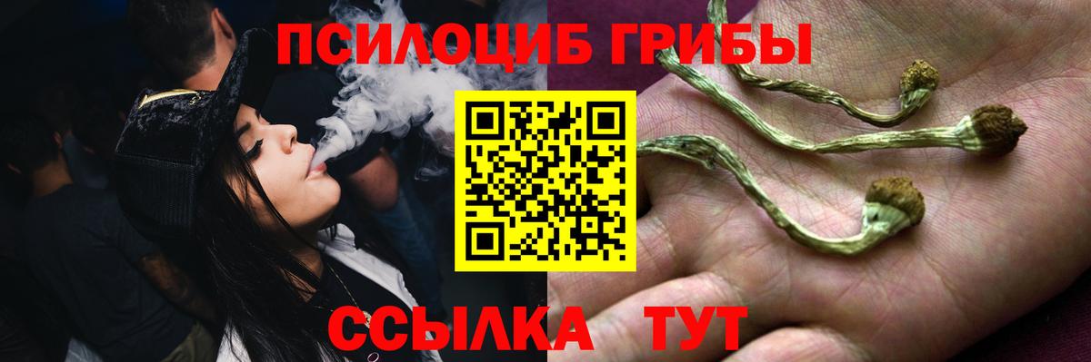 где купить наркоту  Псилоцибиновые грибы Cubensis  Вход с VPN  Галлюциногенные грибы Psilocybine cubensis  Чернушка 
